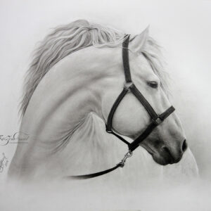 Pegasus